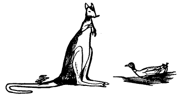 The Duck and the Kangaroo