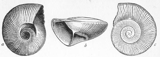 Fig. 54