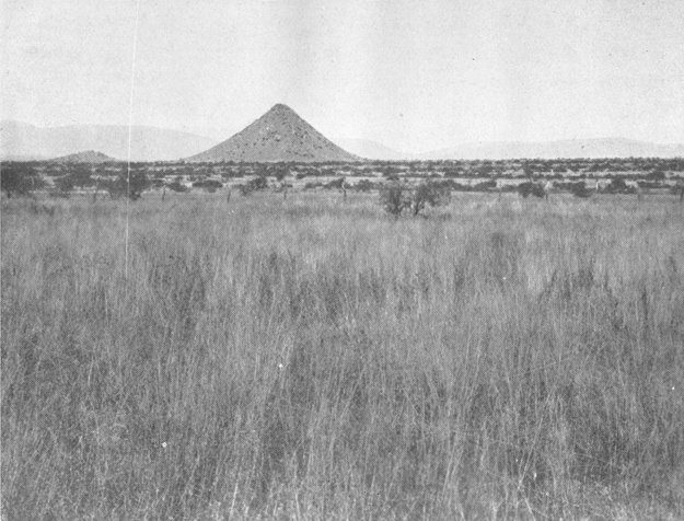 Plate IV. Fig. 1.—Range Conditions Favoring Kangaroo Rats.