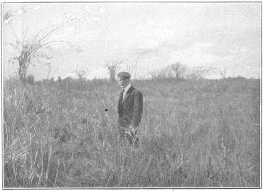 The same spot as it appears to-day.  The figure in the picture is
standing in what remains of the trench