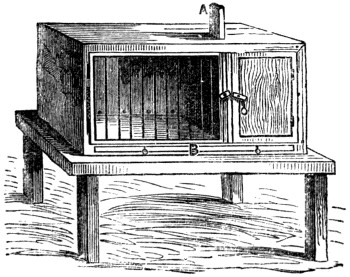 Rabbit hutch