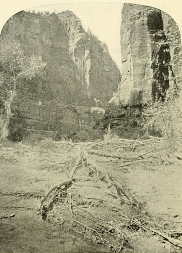 Mukoontuweap Canyon,
North Fork of the Virgen.