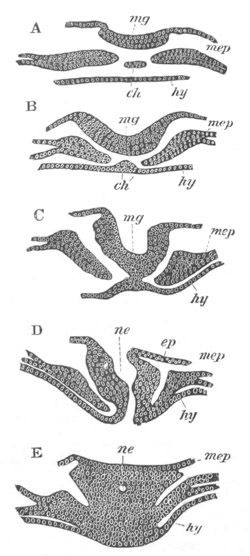 Illustration: Figure 126