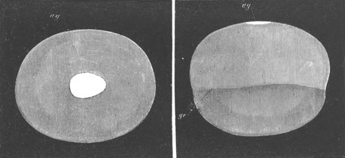 Illustration: Figure 137