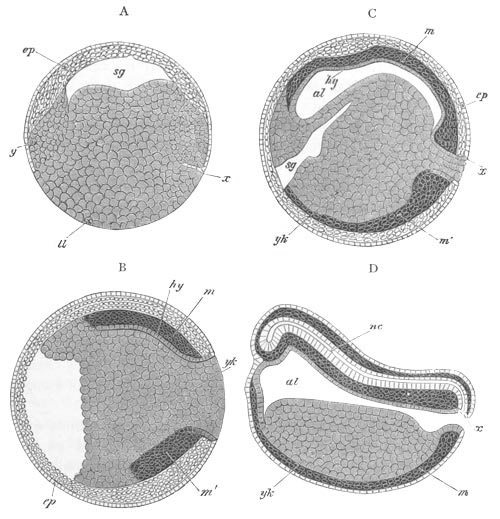 Illustration: Figure 170