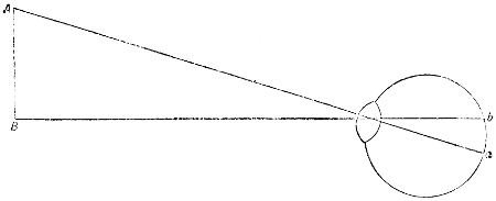 rays entering the retina of the eye