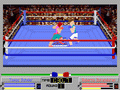 4D Sports Boxing